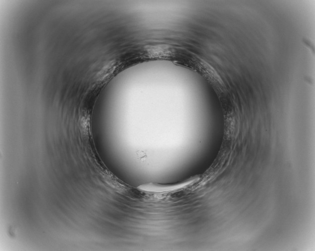 X0000098090329200804181242