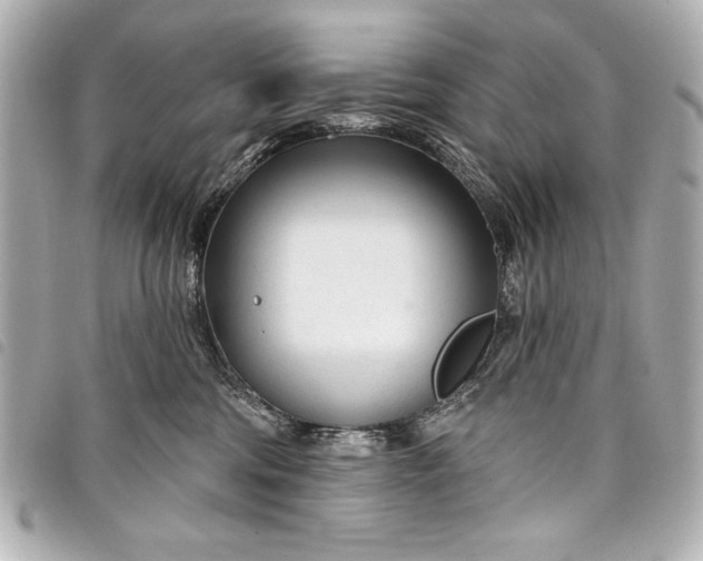 X0000098090330200804181242