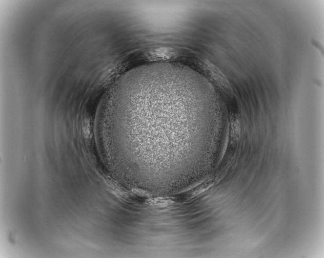 X0000098090331200804181242