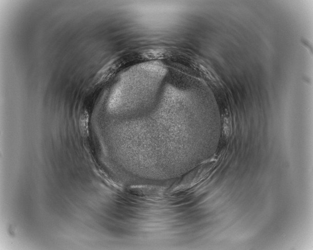 X0000098090332200804181242