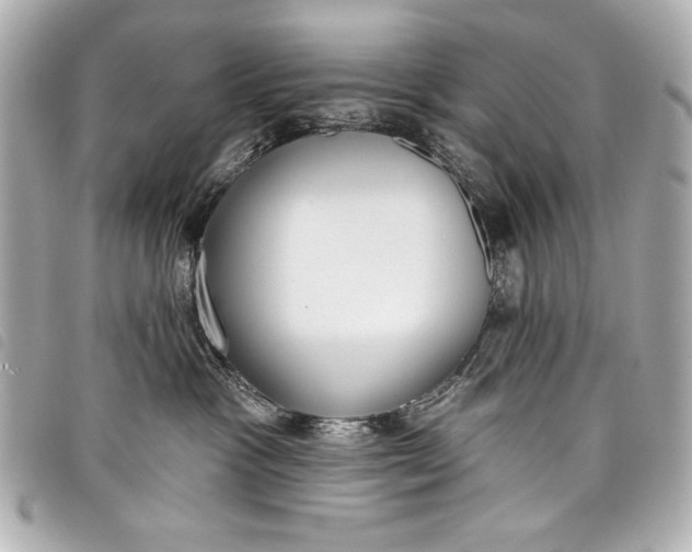 X0000098090333200804181242