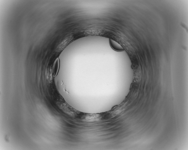 X0000098090334200804181242