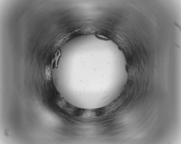 X0000098090335200804181242