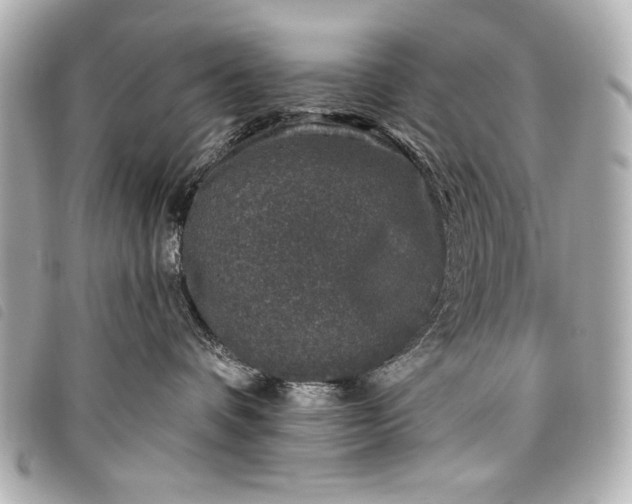 X0000098090336200804181242