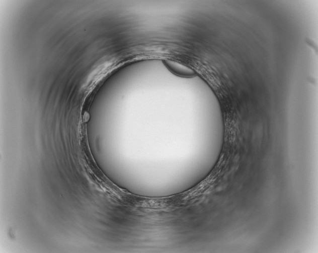 X0000098090338200804181241