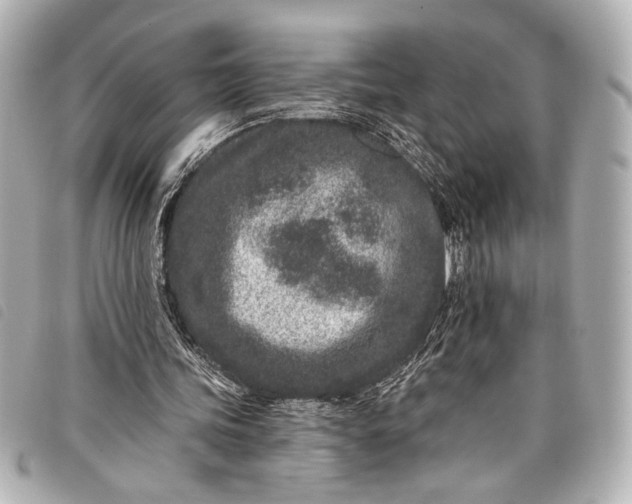 X0000098090339200804181241