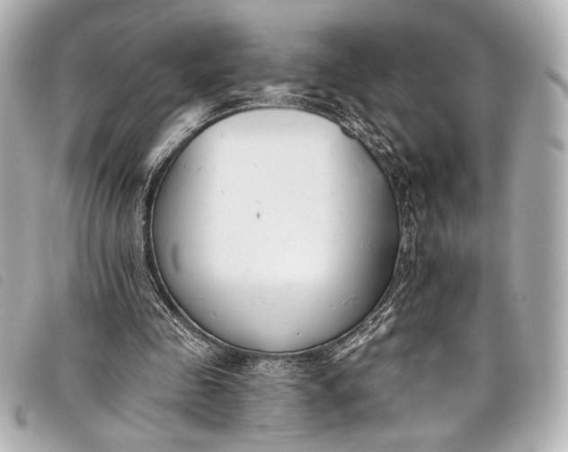X0000098090341200804181241