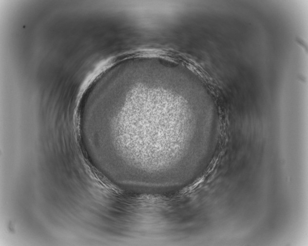 X0000098090343200804181241