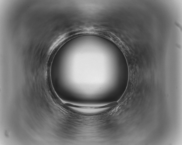 X0000098090344200804181241