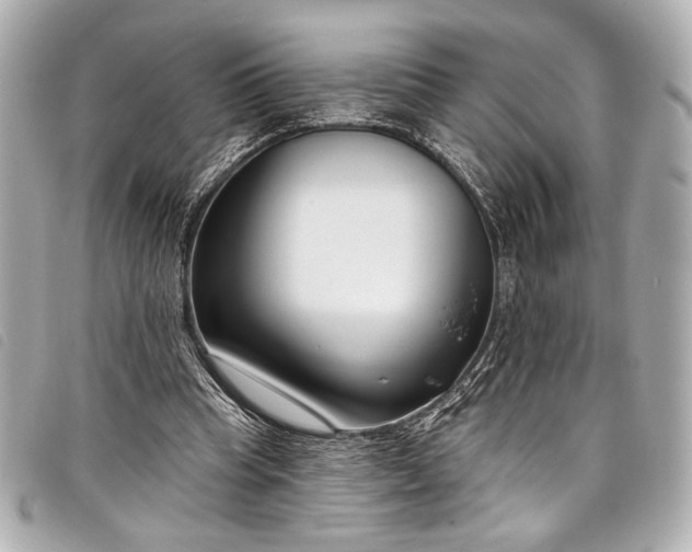 X0000098090345200804181241