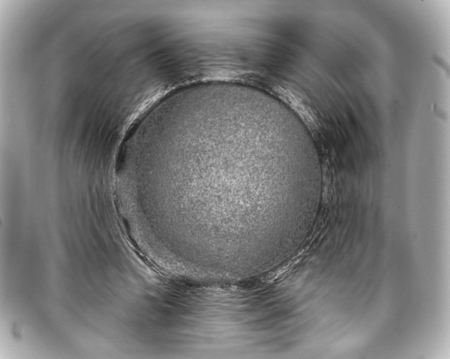 X0000098090346200804181241