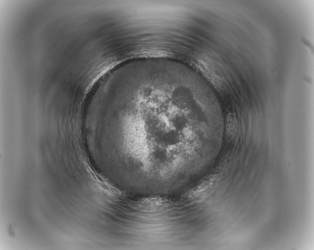 X0000098090351200804181241