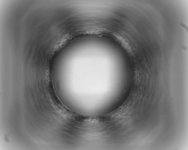 X0000098090354200804181242