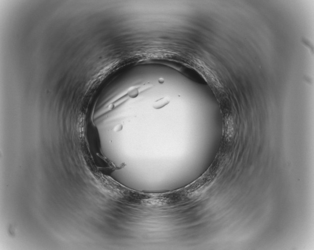 X0000098090356200804181242