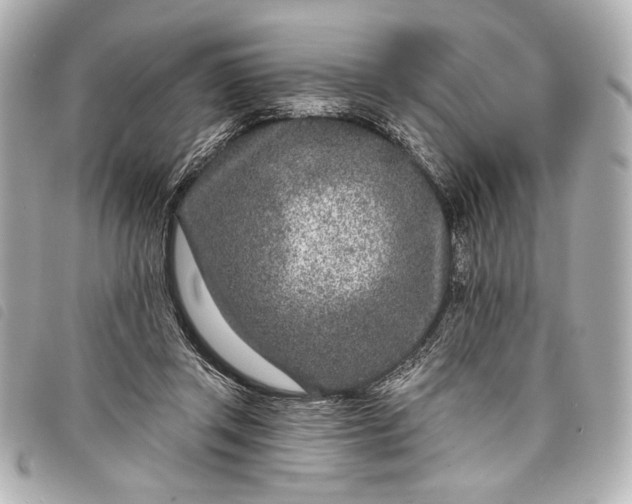 X0000098090357200804181242