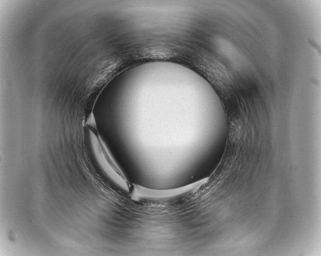 X0000098090358200804181242