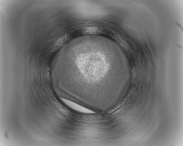 X0000098090361200804181242