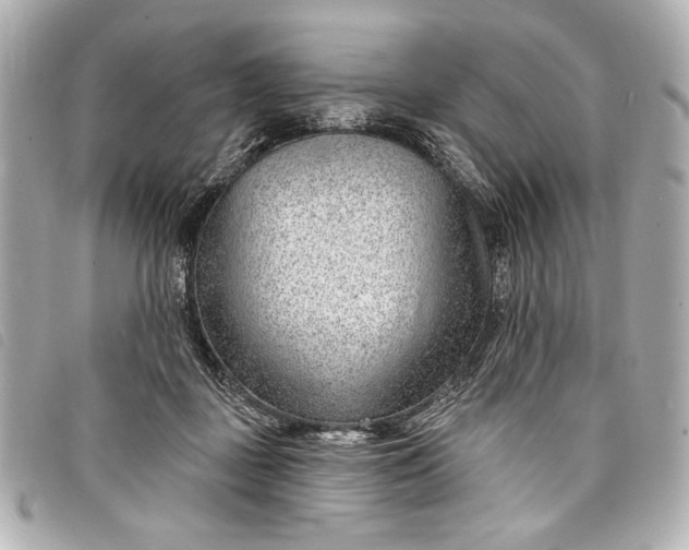 X0000098090363200804181242