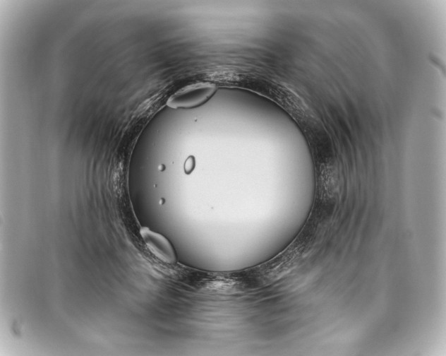 X0000098090364200804181242