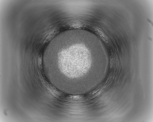 X0000098090365200804181242
