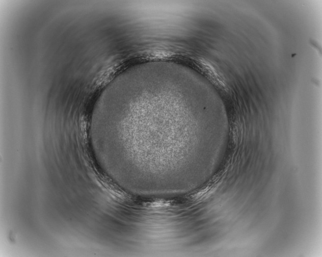 X0000098090366200804181242