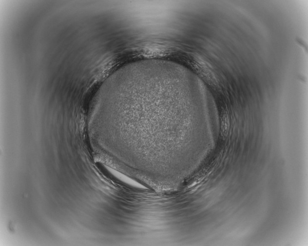 X0000098090367200804181242