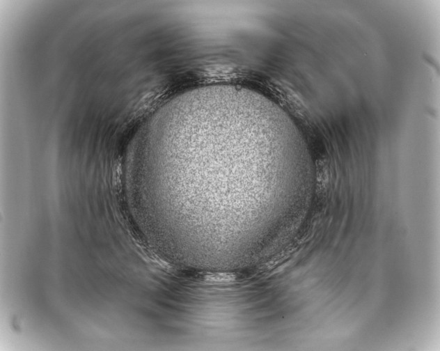 X0000098090369200804181242