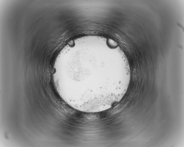 X0000098090370200804181242