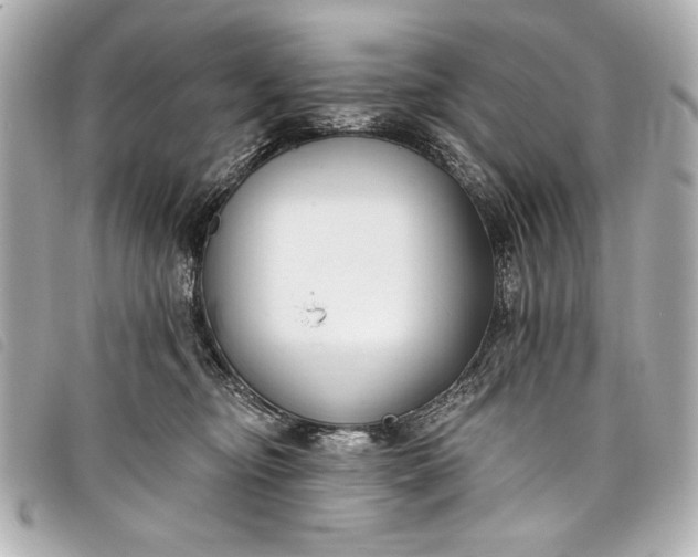 X0000098090374200804181242