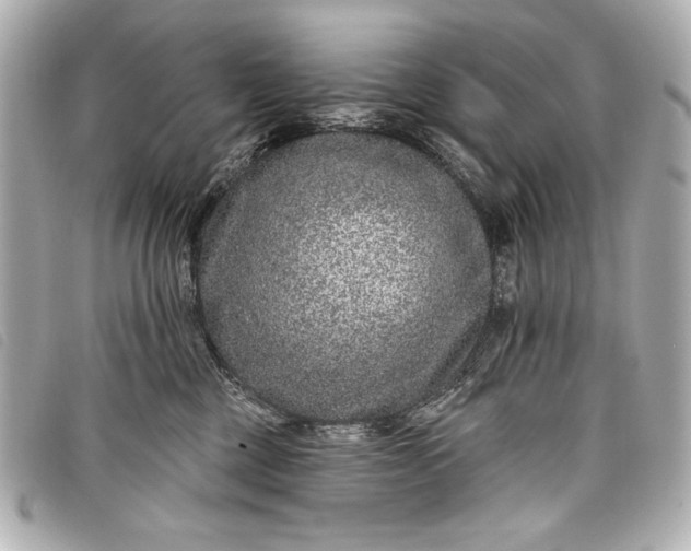 X0000098090377200804181242