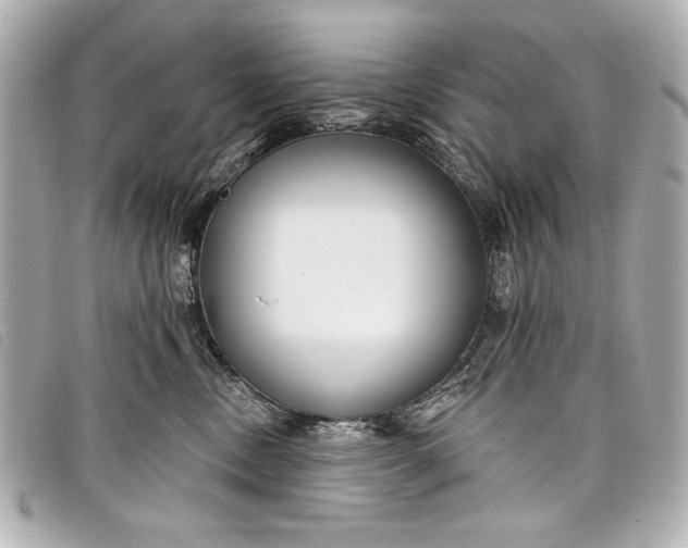 X0000098090378200804181242