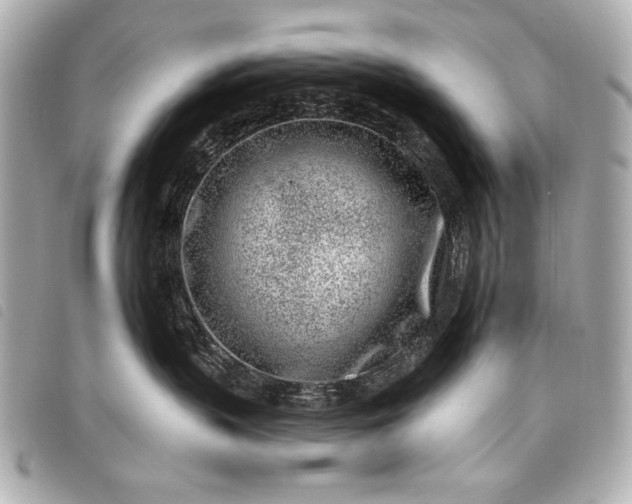 X0000098090383200804181242