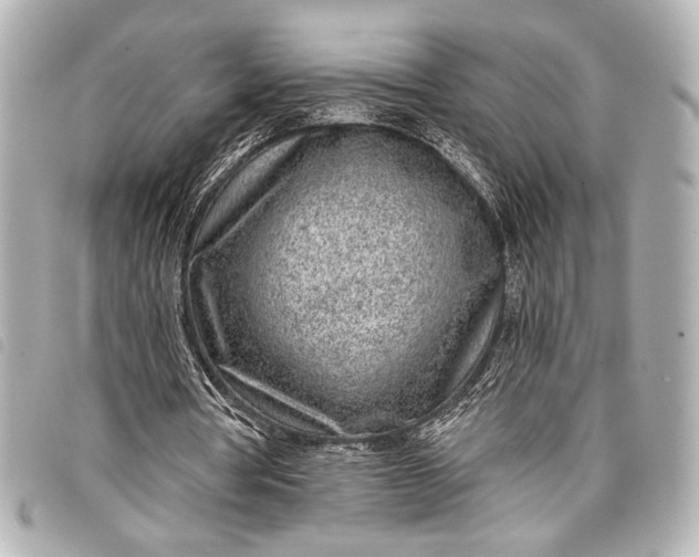 X0000098090386200804181241
