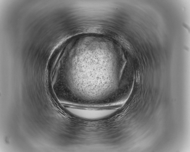 X0000098090388200804181241