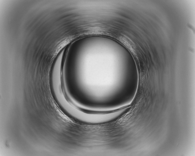 X0000098090389200804181241