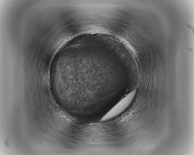 X0000098090391200804181241
