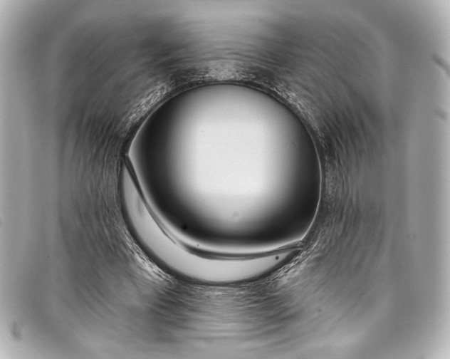 X0000098090393200804181241