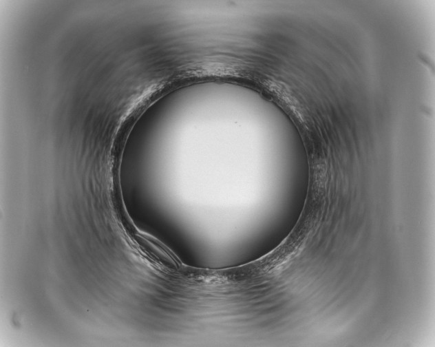 X0000098090395200804181241