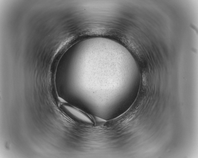 X0000098090396200804181241