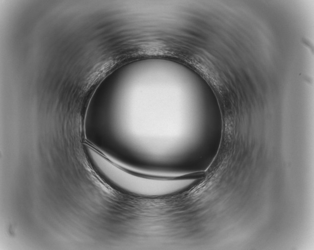 X0000098090397200804181241