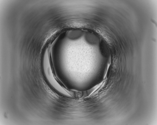 X0000098090399200804181241