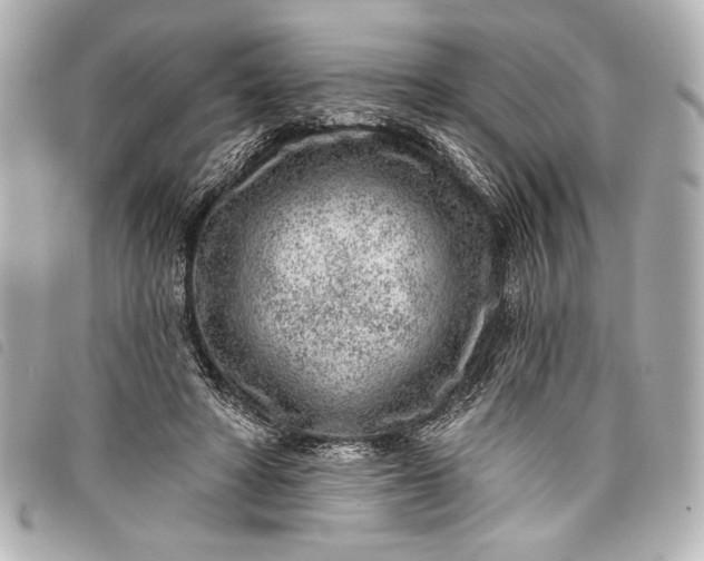 X0000098090402200804181241