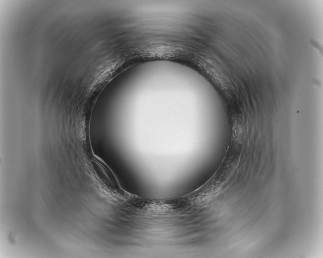 X0000098090403200804181241