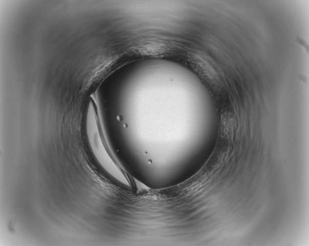 X0000098090404200804181241