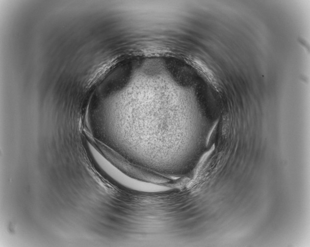 X0000098090405200804181241