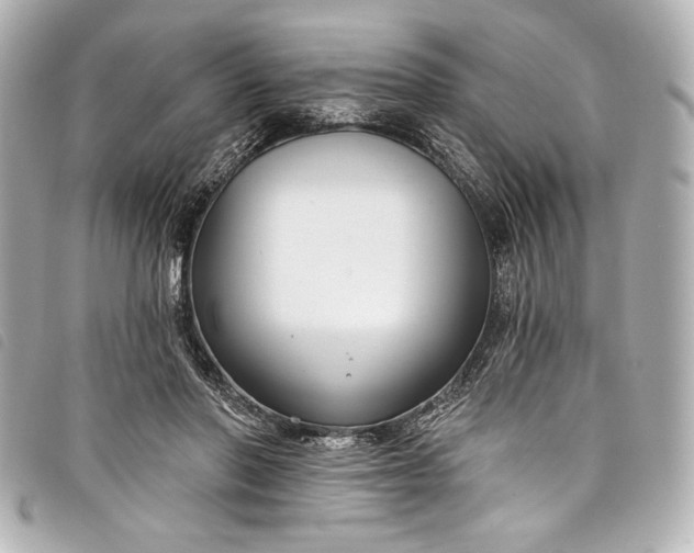X0000098090406200804181241