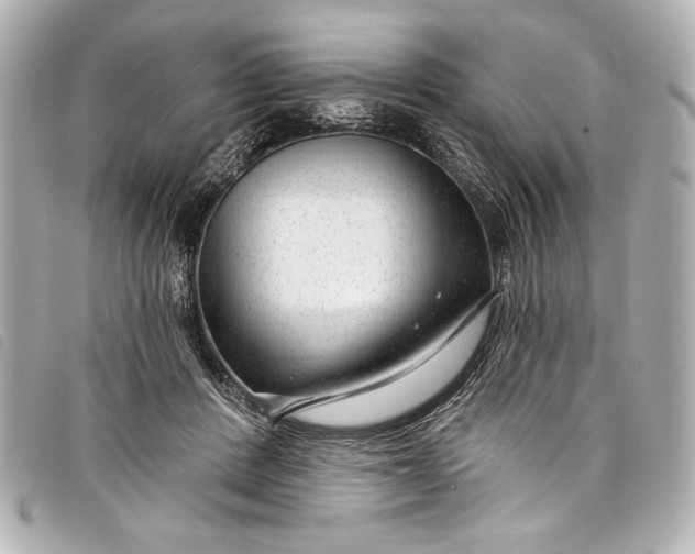 X0000098090408200804181241