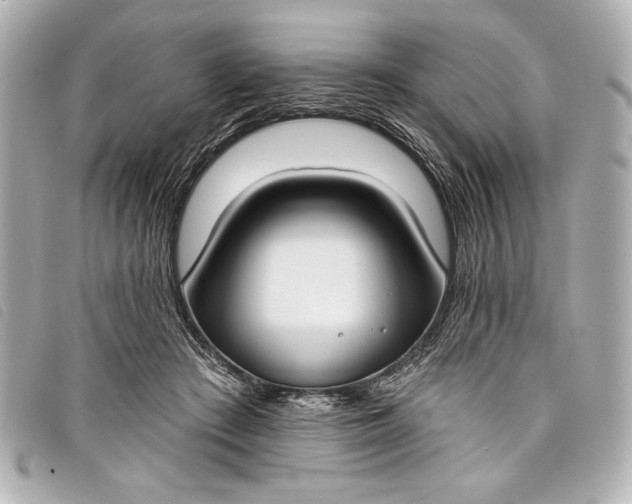 X0000098090409200804181241