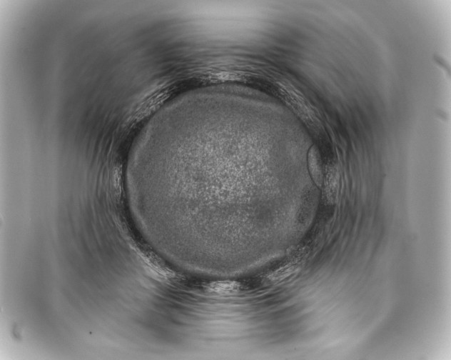 X0000098090410200804181241