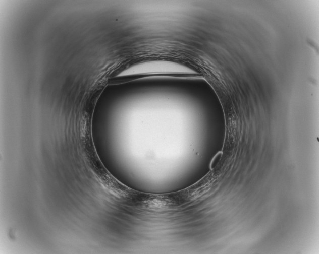 X0000098090412200804181241